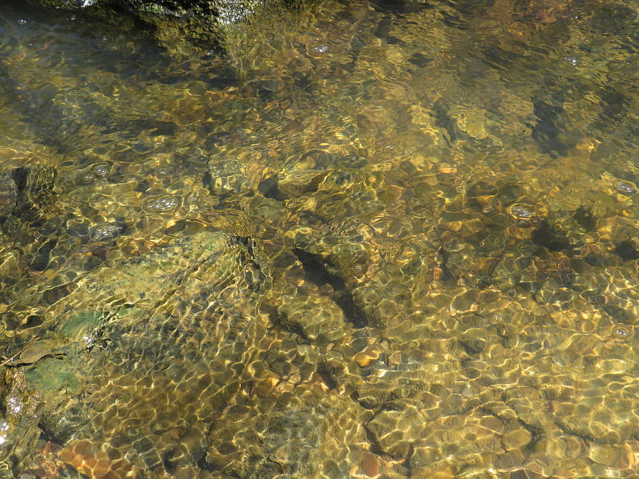 Clear Creek Ripples Photograph by Ed Williams