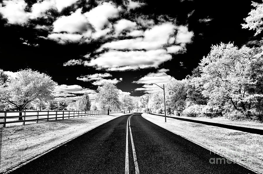 Clear Day Infrared at Colonial Park Photograph by John Rizzuto