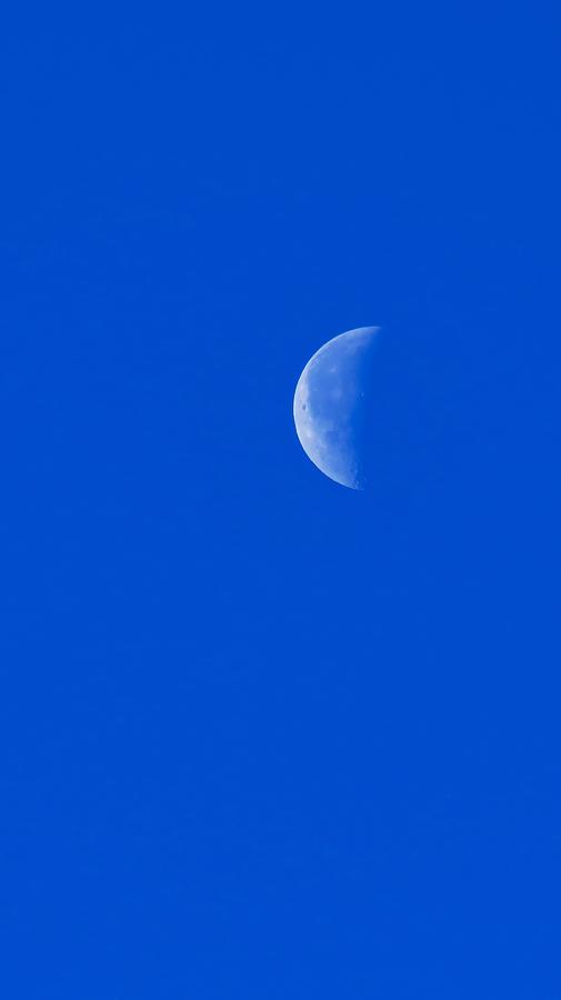 Clear Half Moon in Aquarius Photograph by Judy Kennedy