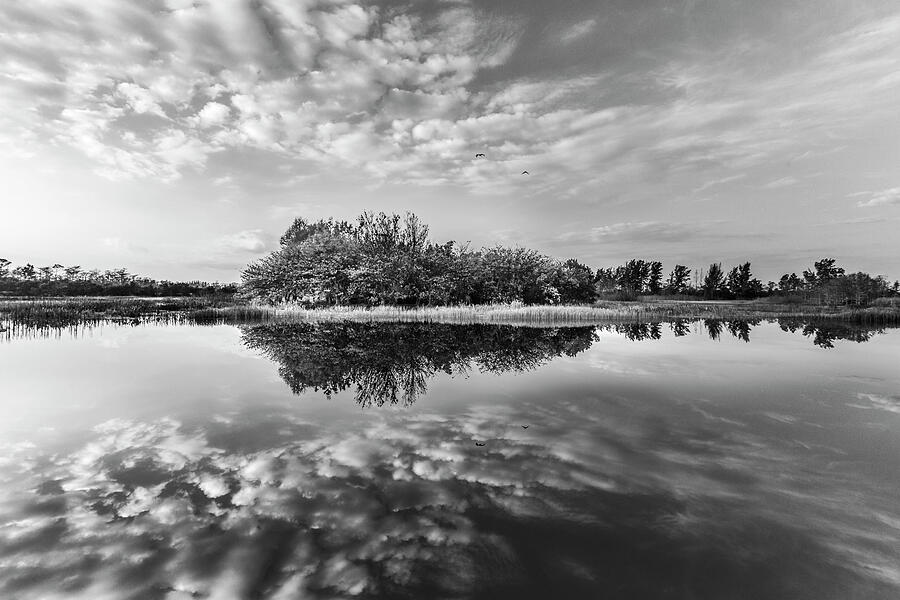 Spring Photograph - Clear Reflections Black and White by Debra and Dave Vanderlaan