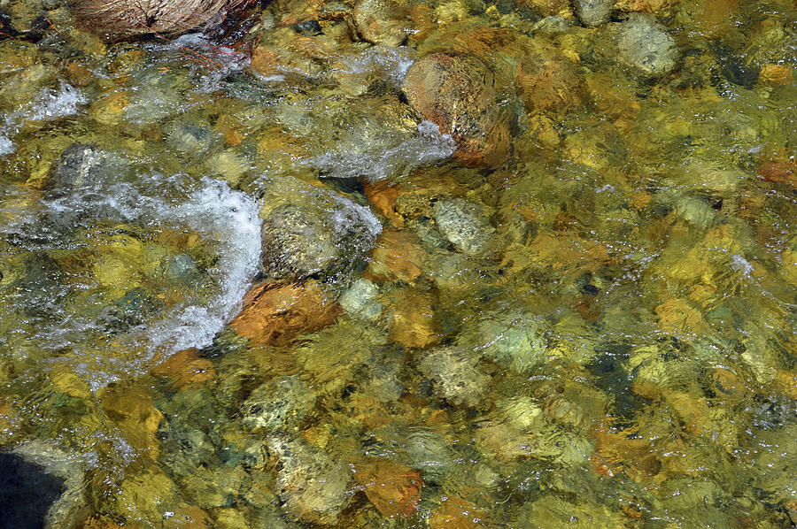 Clear River Water Photograph by Eric Forster
