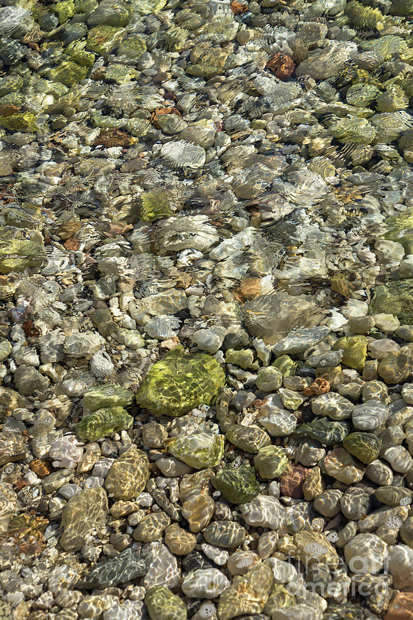 Clear sea water flowing over green stones 1 Photograph by Adriana Mueller