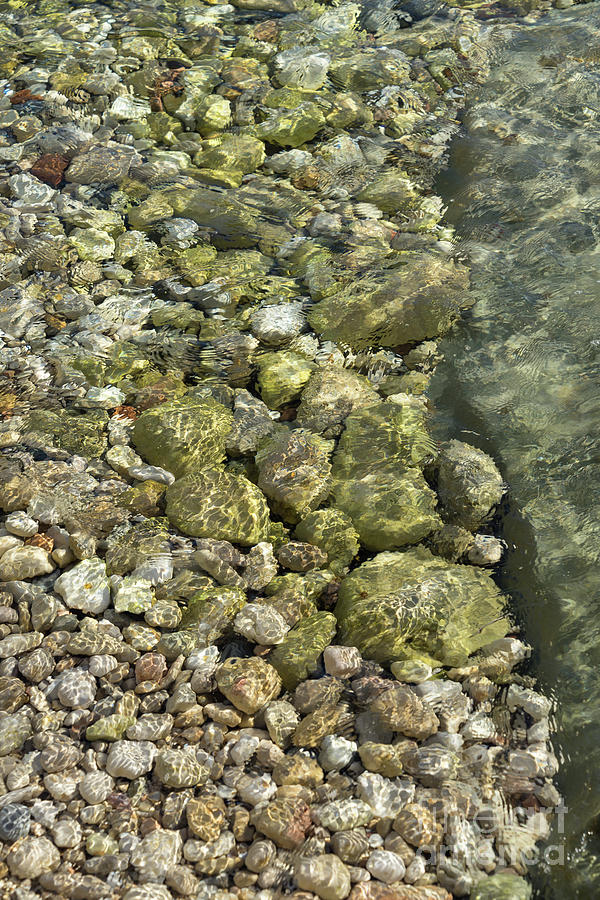 Clear sea water flowing over green stones 2 Photograph by Adriana Mueller
