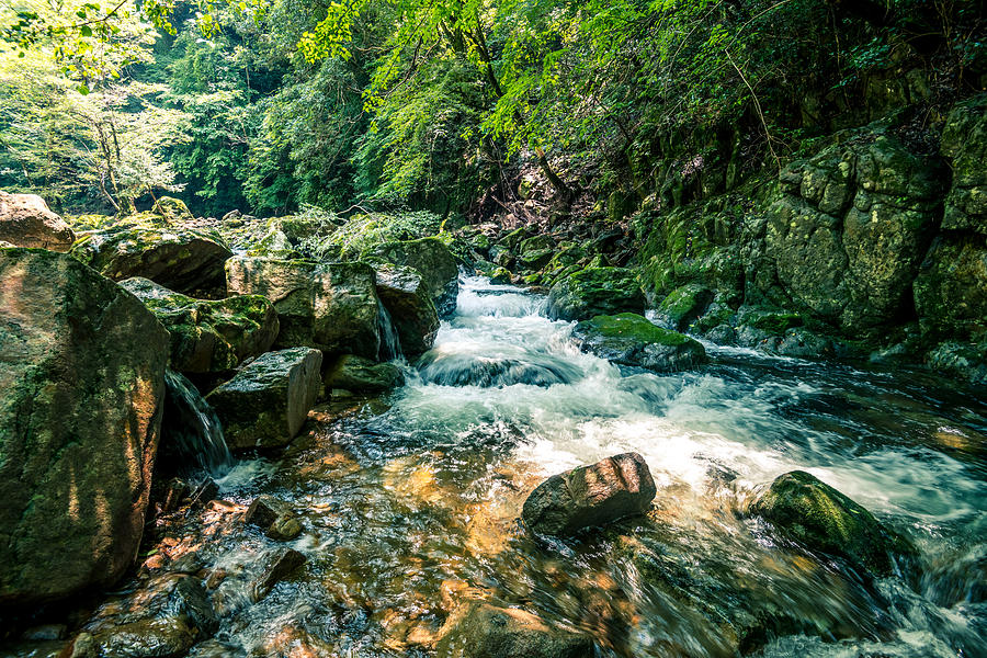 Clear stream flowing between rocks. At Akame 48 waterfall Photograph by Little Dinosaur