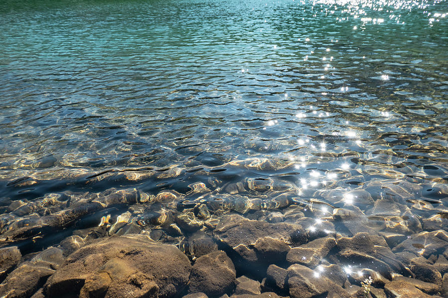 Lake Photograph - Clear Water And Sunlight by Phil And Karen Rispin