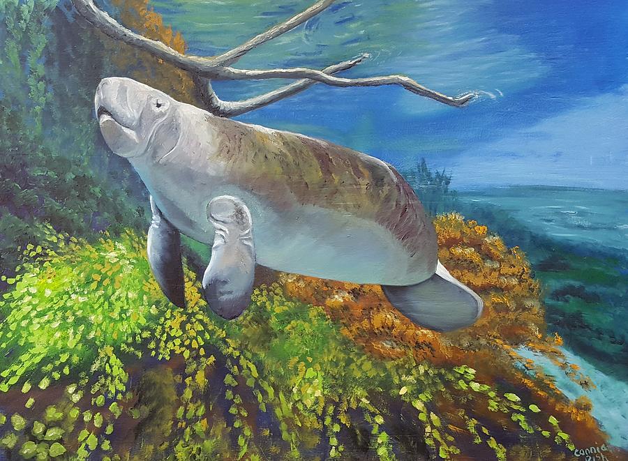 Clear Water Manatee Painting by Connie Rish