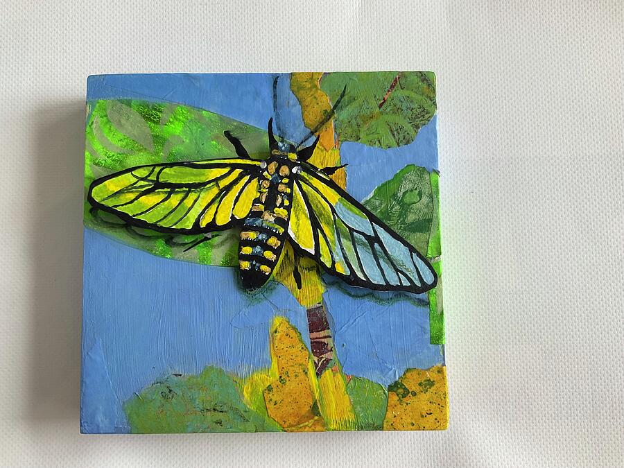 Clear Winged Tiger Moth Mixed Media by Eileen Petre Clear Winged Tiger Moth Mixed Media by Eileen Petre