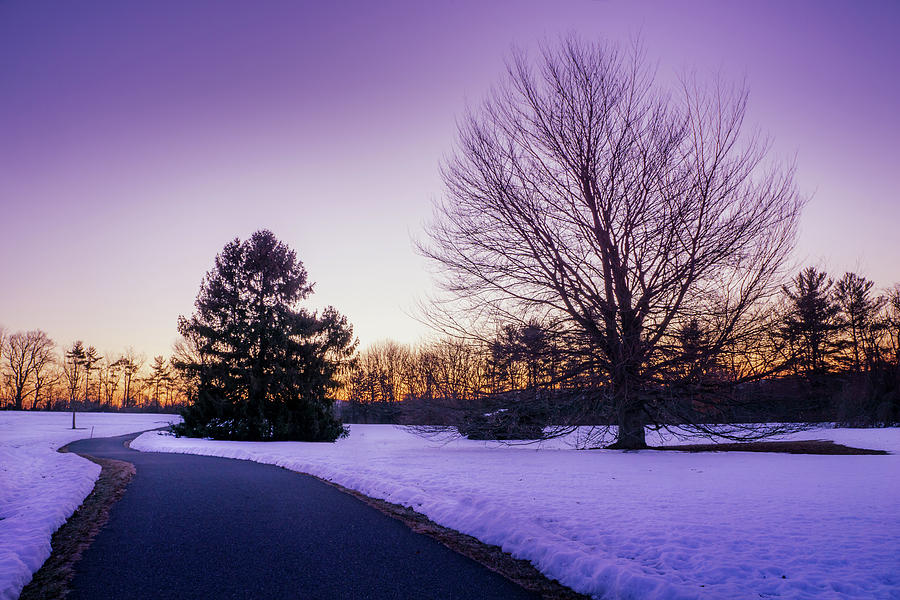 Clear Winter Dawn Photograph by Jason Fink