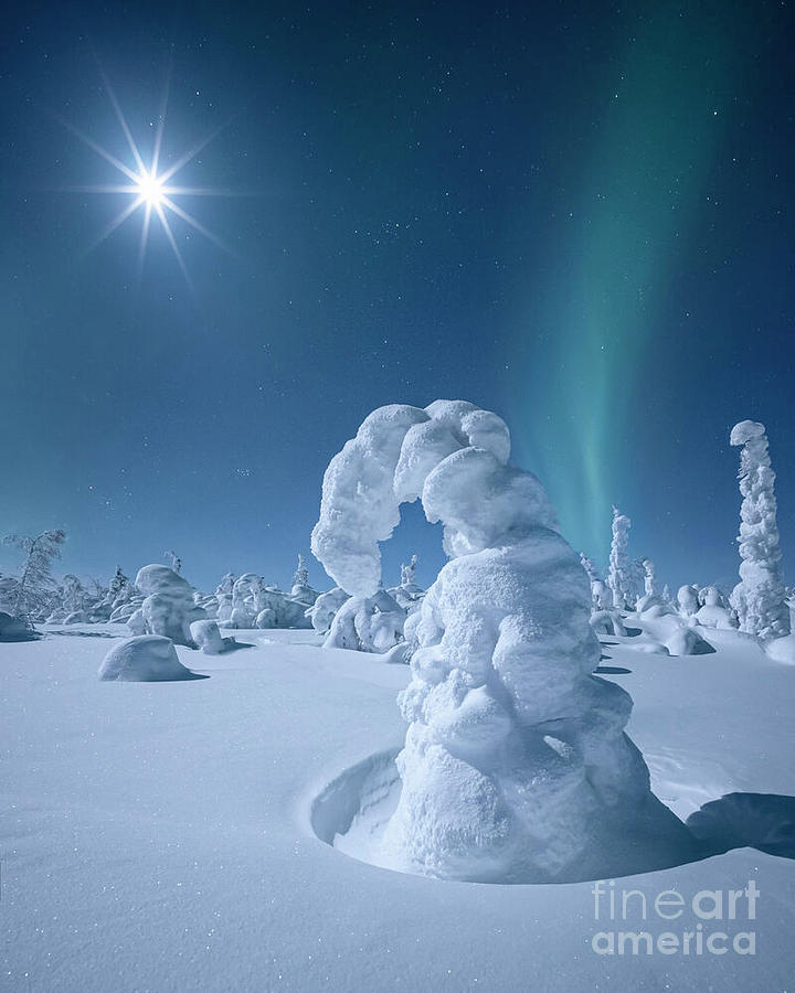 Clear Winter sky Photograph by Kurt BROWN - Fine Art America