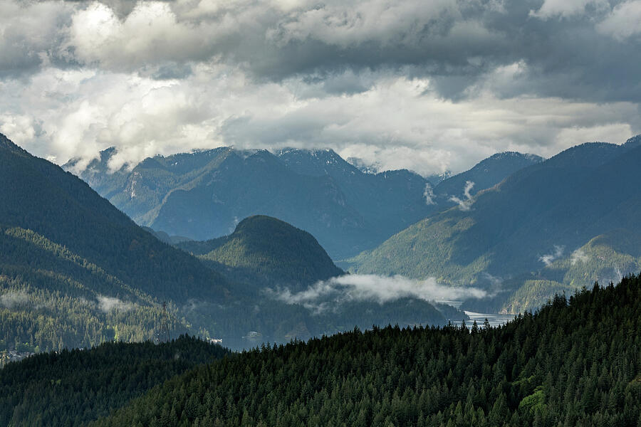 Clearing after the Storm at Indian Arm Photograph by Michael Russell