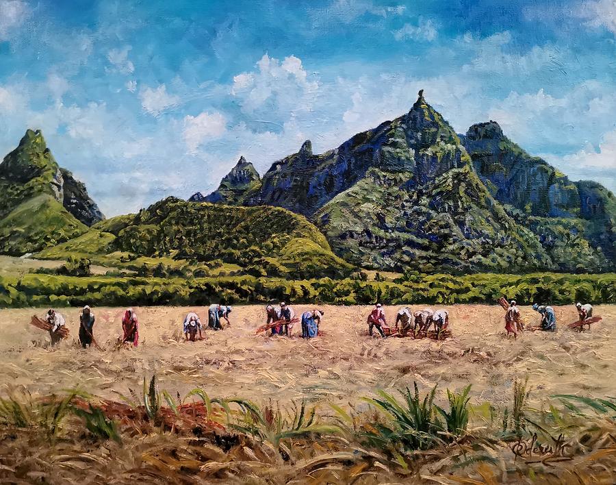 Clearing fields, Mauritius  Painting by Raouf Oderuth