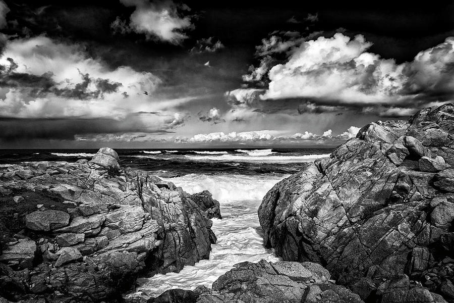 Clearing Storm 17 Mile Drive Pebble Beach CA GRK4975_03052023 Photograph by Greg Kluempers