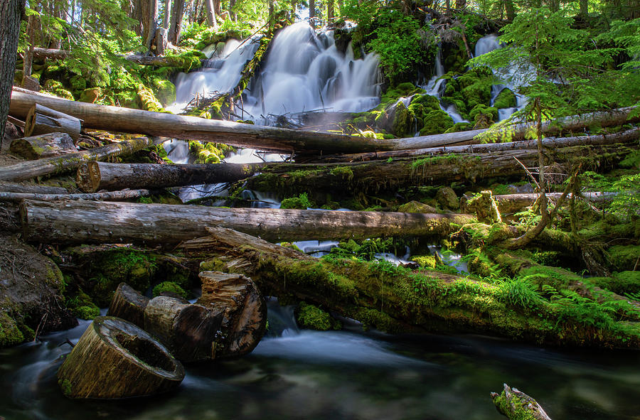 Clearwater Falls, Oregon Photograph by Randy D Morrison - Fine Art America