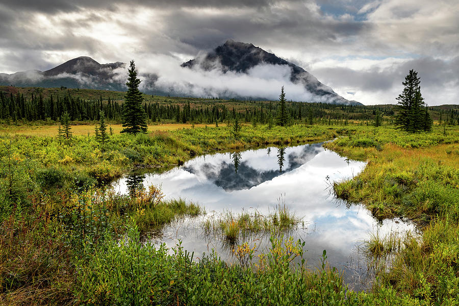 Clearwater Meadow Photograph by Scott Slone