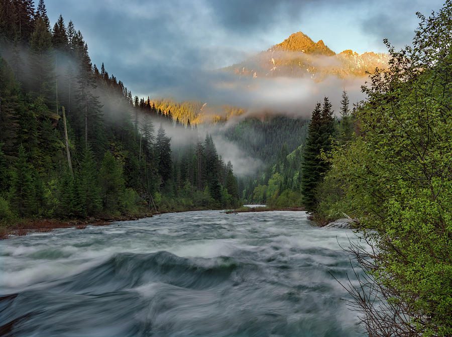 Clearwater National Forest Flow Photograph by Leland D Howard