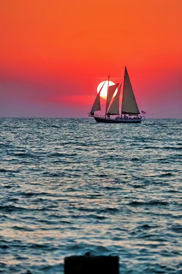 Clearwater Sailboat Photograph by Lorella Schoales
