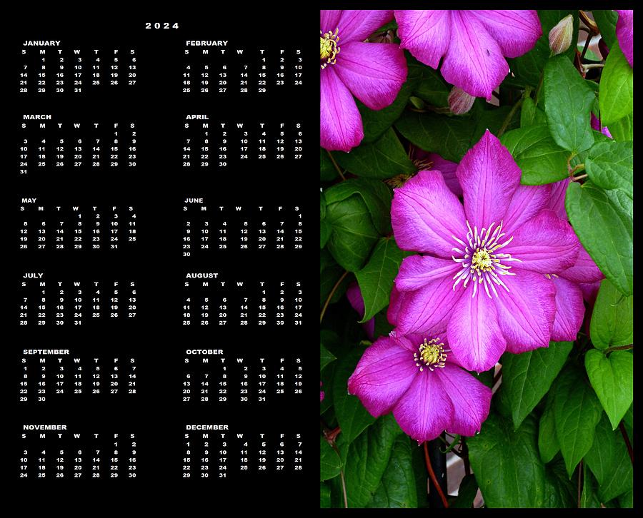 Clematis 2024 Calendar Single Page Photograph by Mike McBrayer Fine