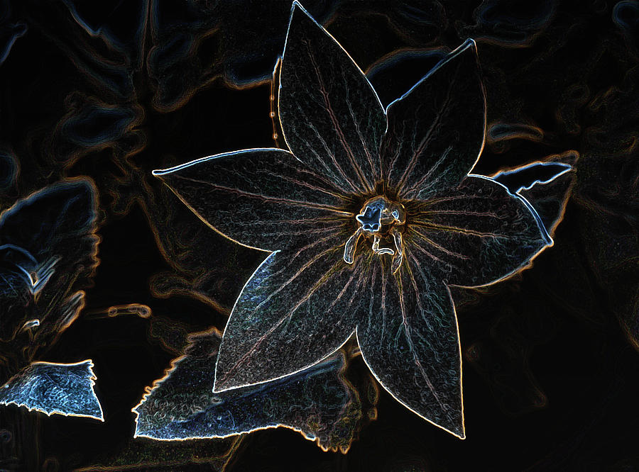 Clematis Flower And Leaf Digital Art