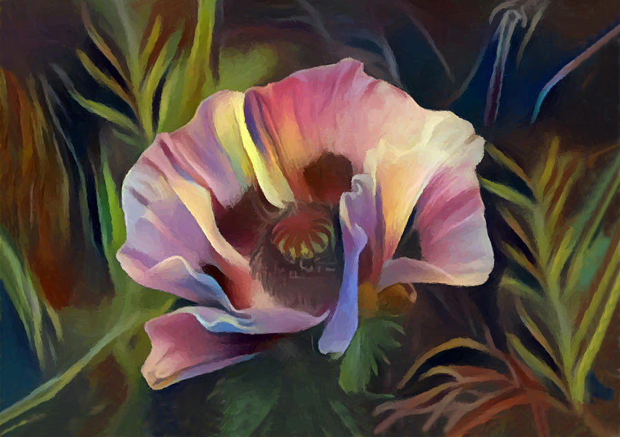 Clematis Flower Painted Digitally Photograph by Sandi OReilly