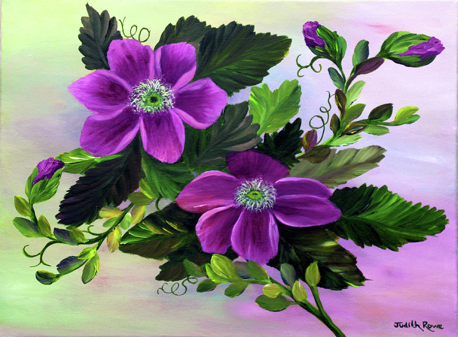 Clematis Painting by Judith Rowe
