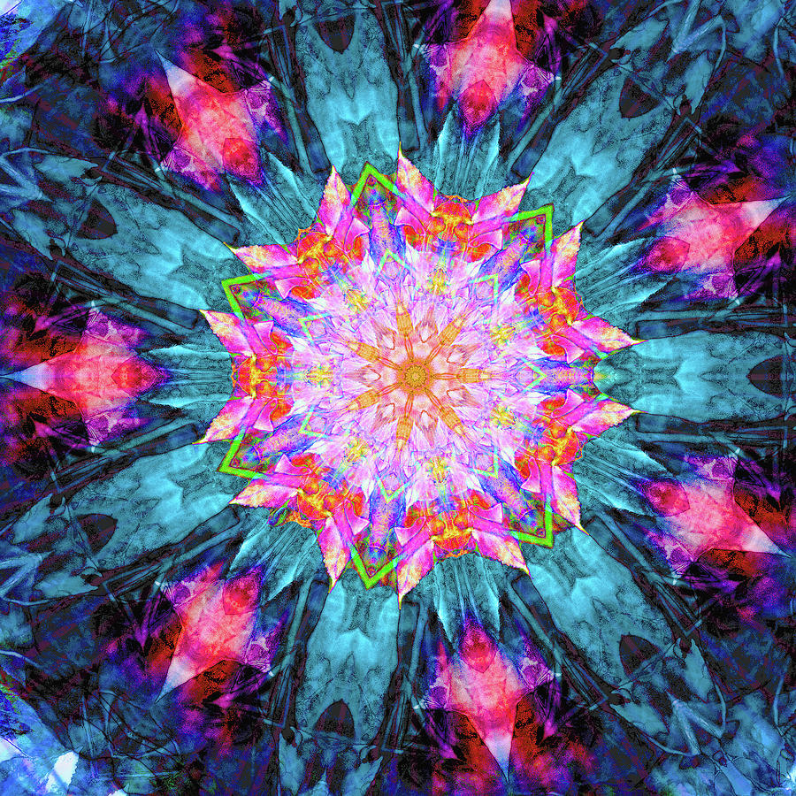 Clematis Mandala Digital Art by Dave Turner - Fine Art America