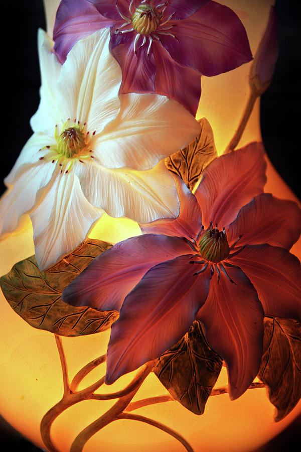 Clematis Still Life  Photograph by Jessica Jenney