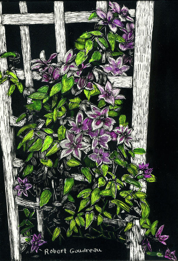 Clematis Vine Painting by Robert Goudreau