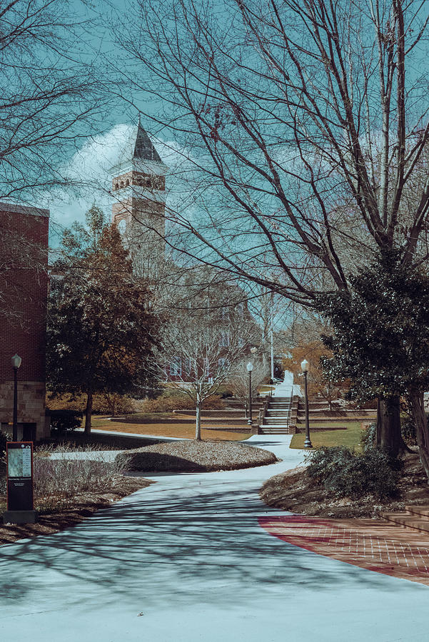 Clemson University 2022 Spring Break Photograph by Heather Kitchen