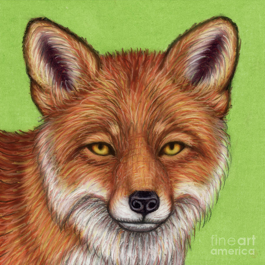 Clever Red Fox  Painting by Amy E Fraser