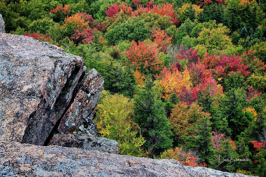 Cliff Edge And Fall Foliage #3788 Photograph