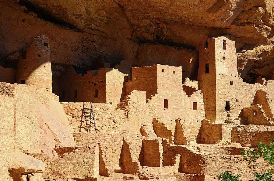Cliff Palace Anasazi Dwellings at Mesa Verde National Park Colorado Photograph by Shawn OBrien