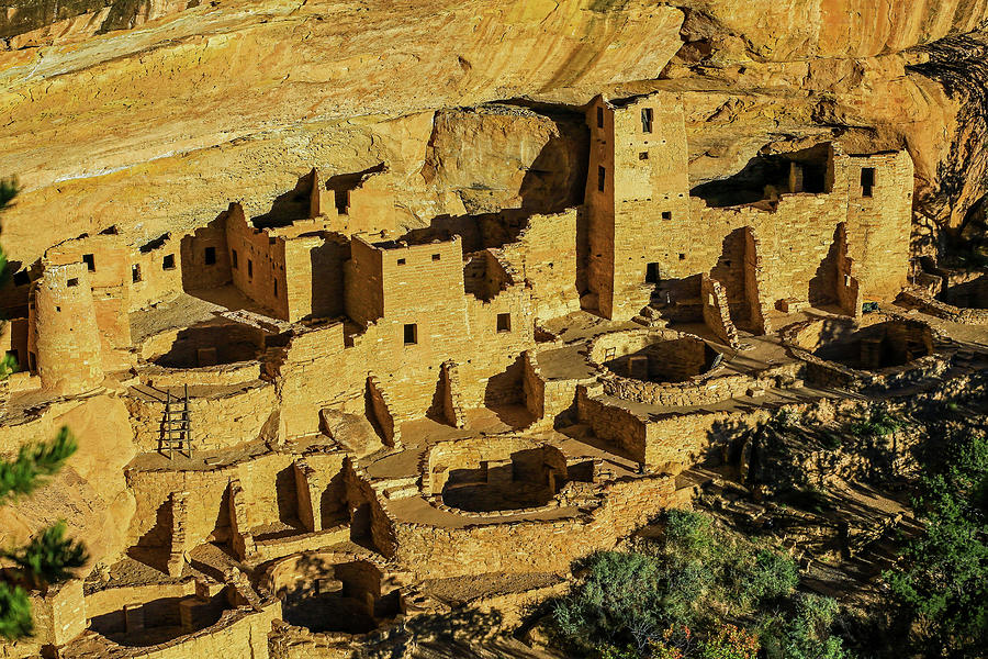 Cliff Palace In The Sun Photograph by James Frazier - Fine Art America