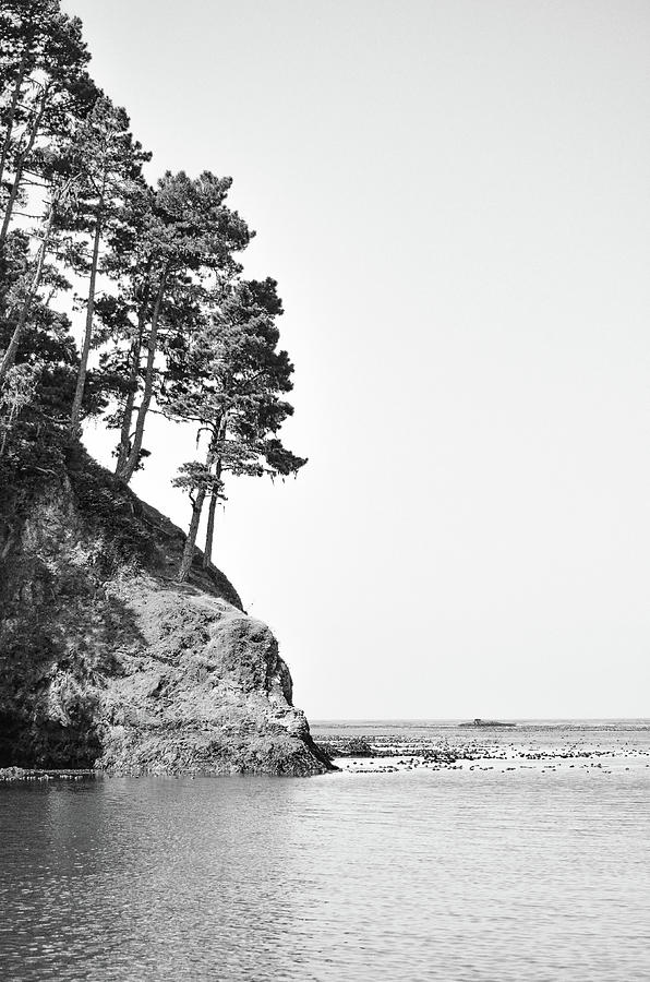 Cliff trees ocean Photograph by Mike Fusaro