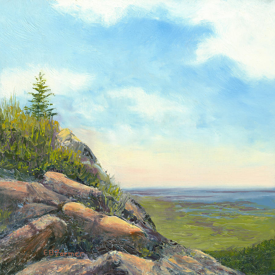 Cliff View Painting by Elaine Farmer
