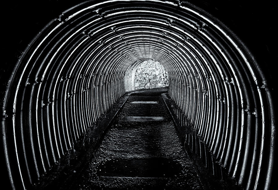 Cliff Walk Tunnel In Black And White Photograph by Tom Singleton