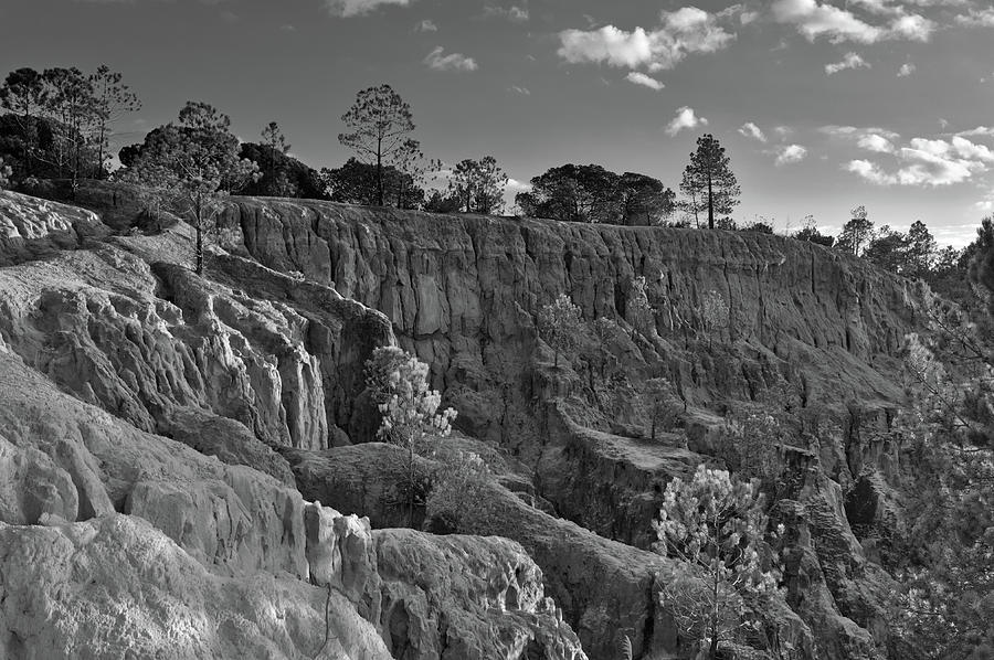 Cliff Wall and Forest in Algarve Photograph by Angelo DeVal
