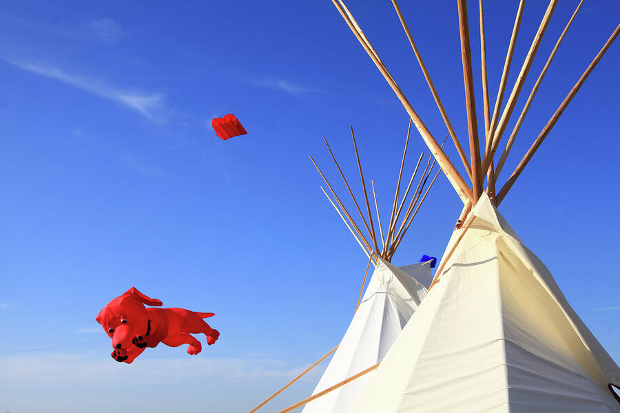 Clifford Soars by the Tepees Photograph by Toni Hopper