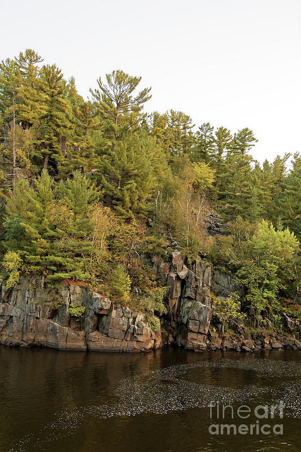 Cliffs along the St. Croix River at Interstate State Park Photograph by Natural Focal Point Photography