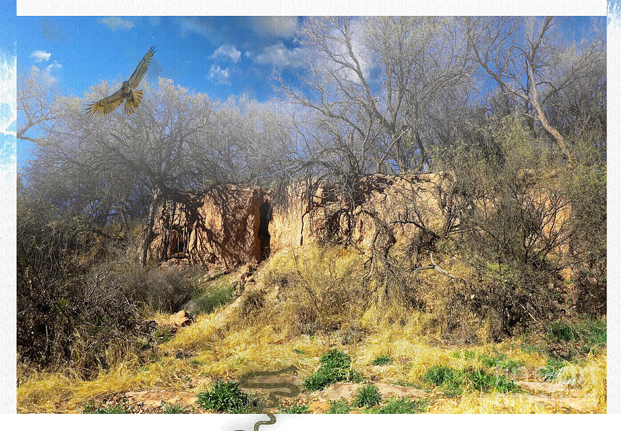 Cliffs and Snake Hawk Digital Art by Deb Nakano