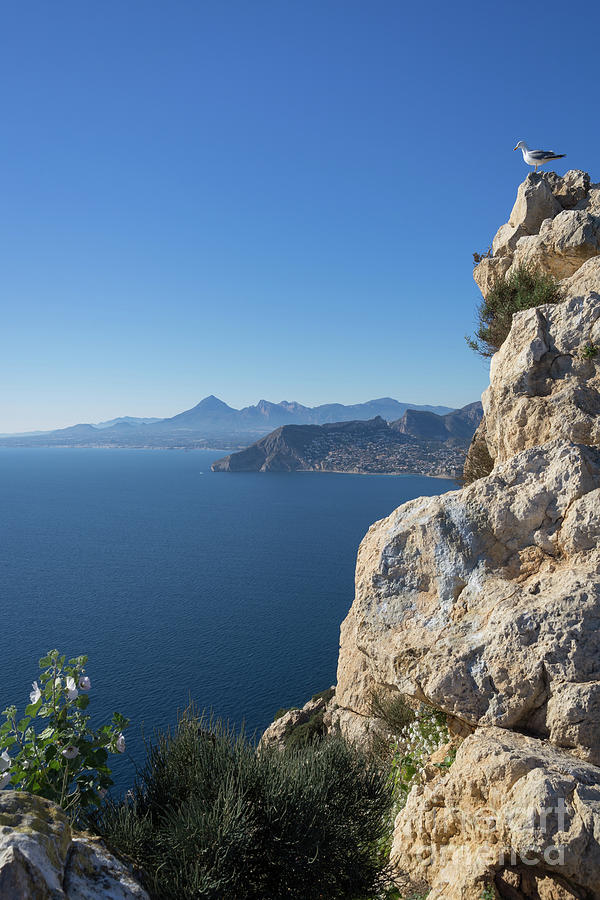 Cliffs, blue sky and the Mediterranean Sea Photograph by Adriana Mueller