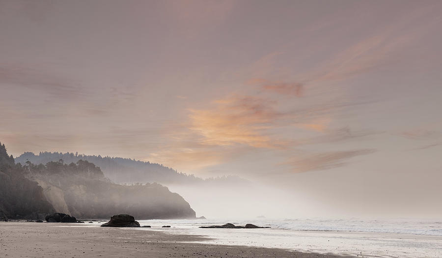 Cliffs in the Coastal Mist Photograph by Don Schwartz
