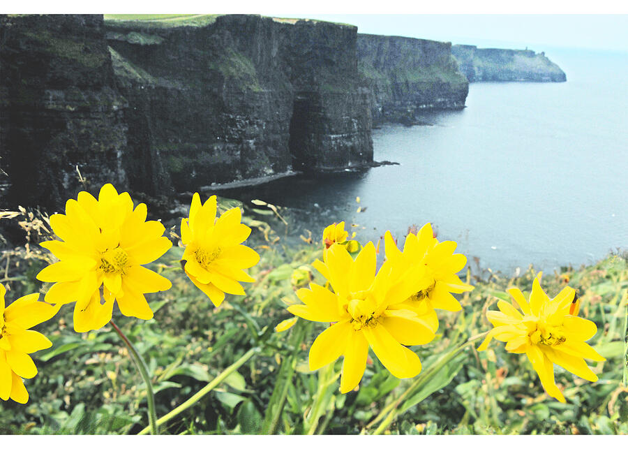 Cliffs of Moher  Photograph by Will Burlingham