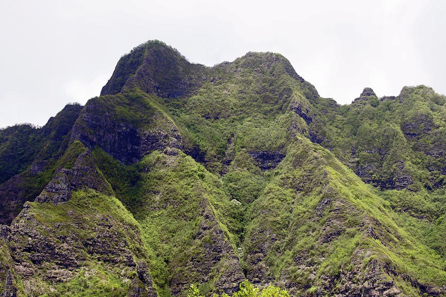 Cliffs Of Oahu Photograph