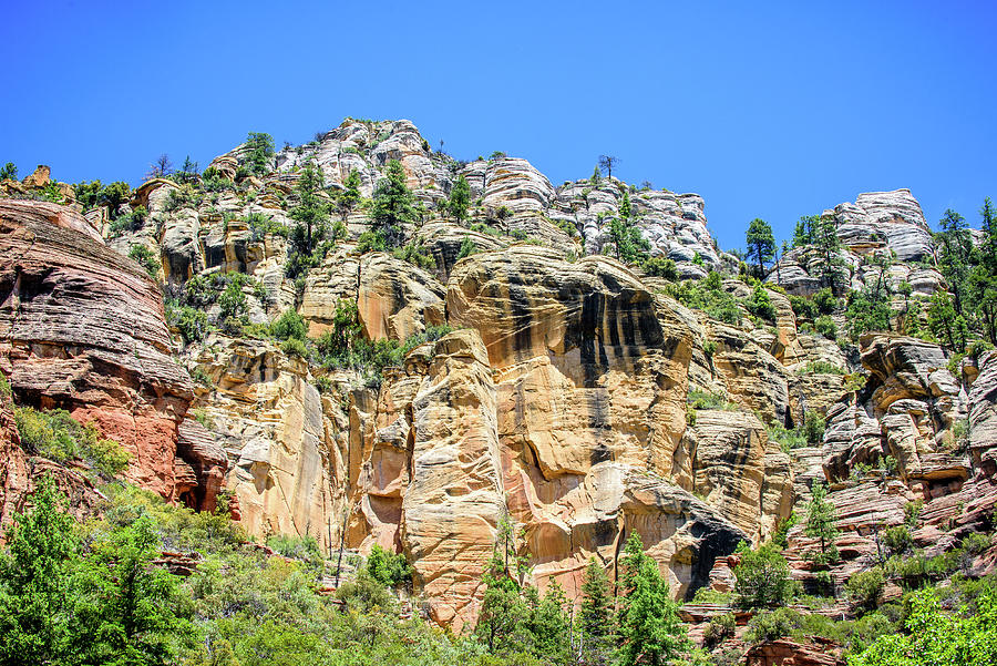 Cliffs Of Oak Creek Photograph By Marla Brown Fine Art America 8052