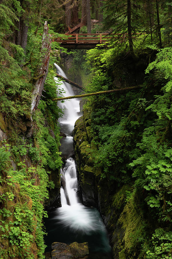 Clifftop View of Sol Duc Falls  Photograph by Adam Pender