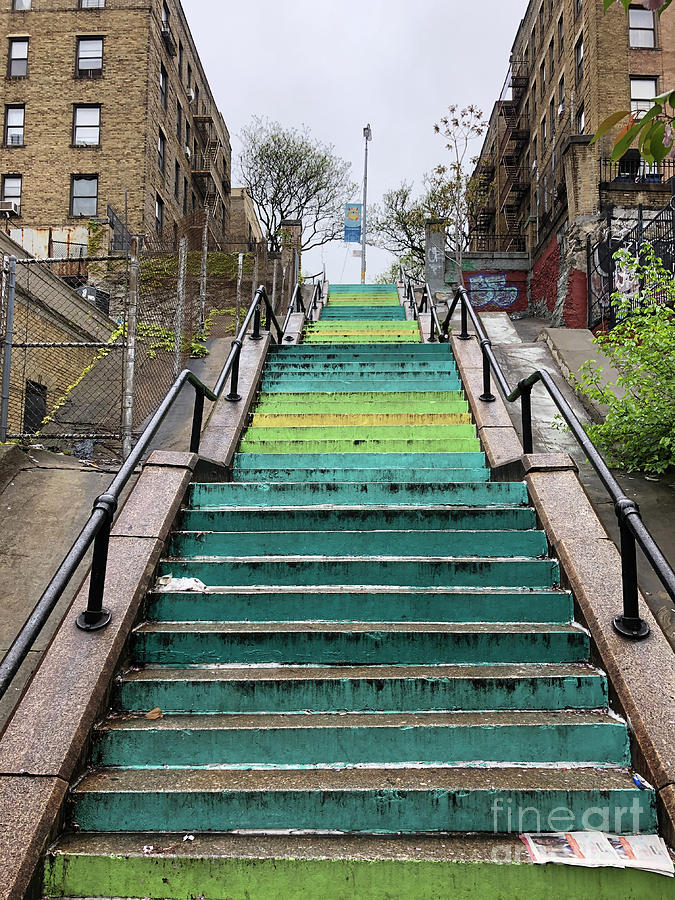New York City Photograph - Climbing Colors by Jeremy Shatan