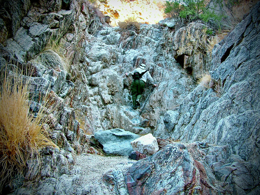 Climbing in Dead Indian Creek Trail, Santa Rosa and San Jacinto Mountains NMON, California Photograph by Ruth Hager