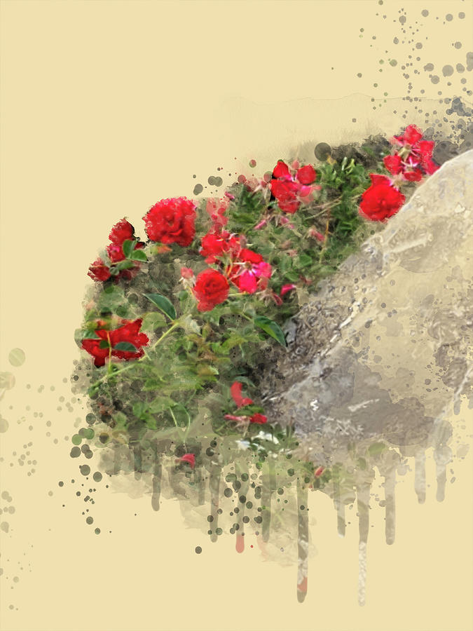 Climbing Roses Digital Art by Julie Rodriguez Jones