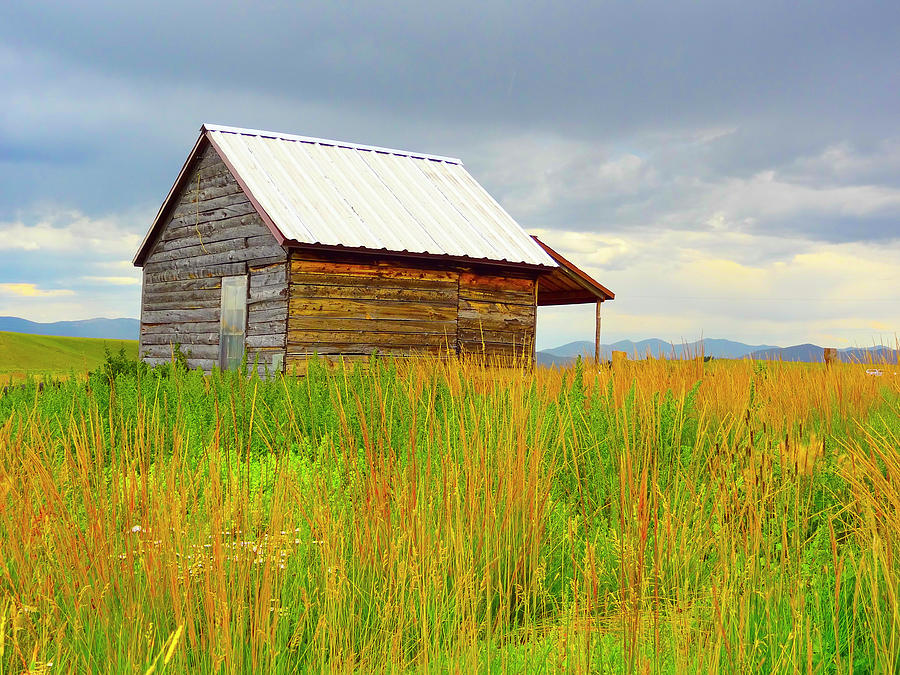 Summer Photograph - Cline Ranch Outbuilding IV by Lanita Williams