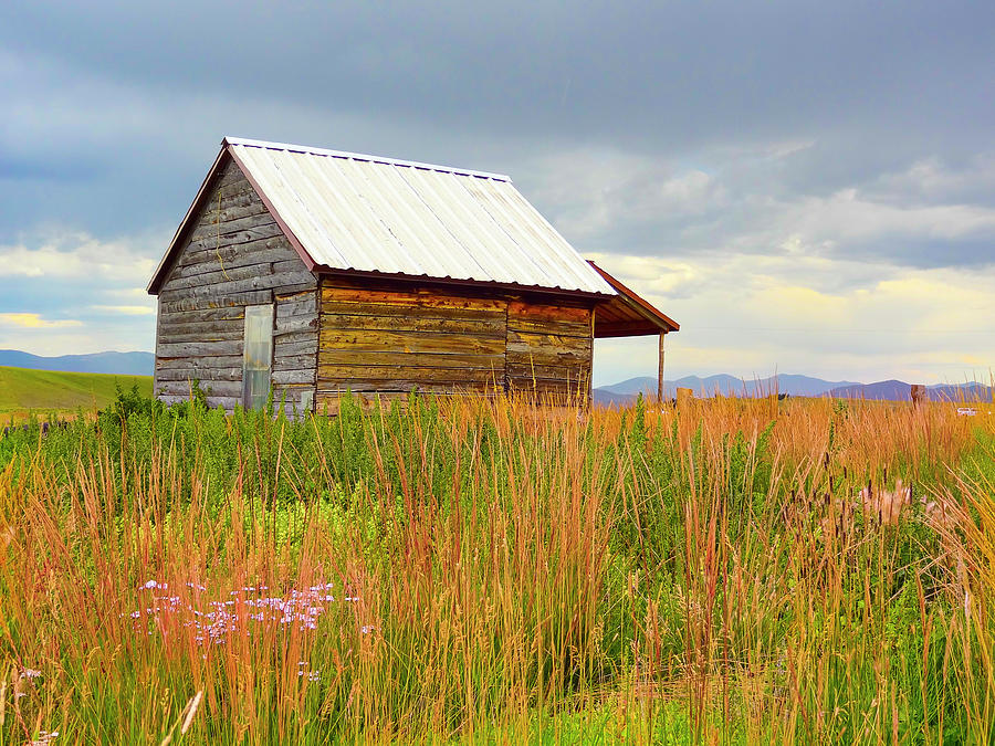 Summer Photograph - Cline Ranch Outbuilding V by Lanita Williams